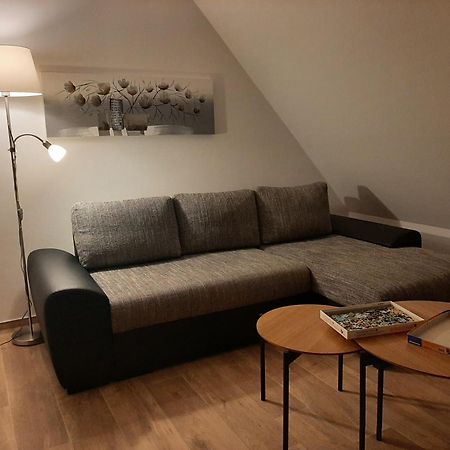 3 Zimmerwohnung Am Neuer Teich ウォルフスブルク エクステリア 写真