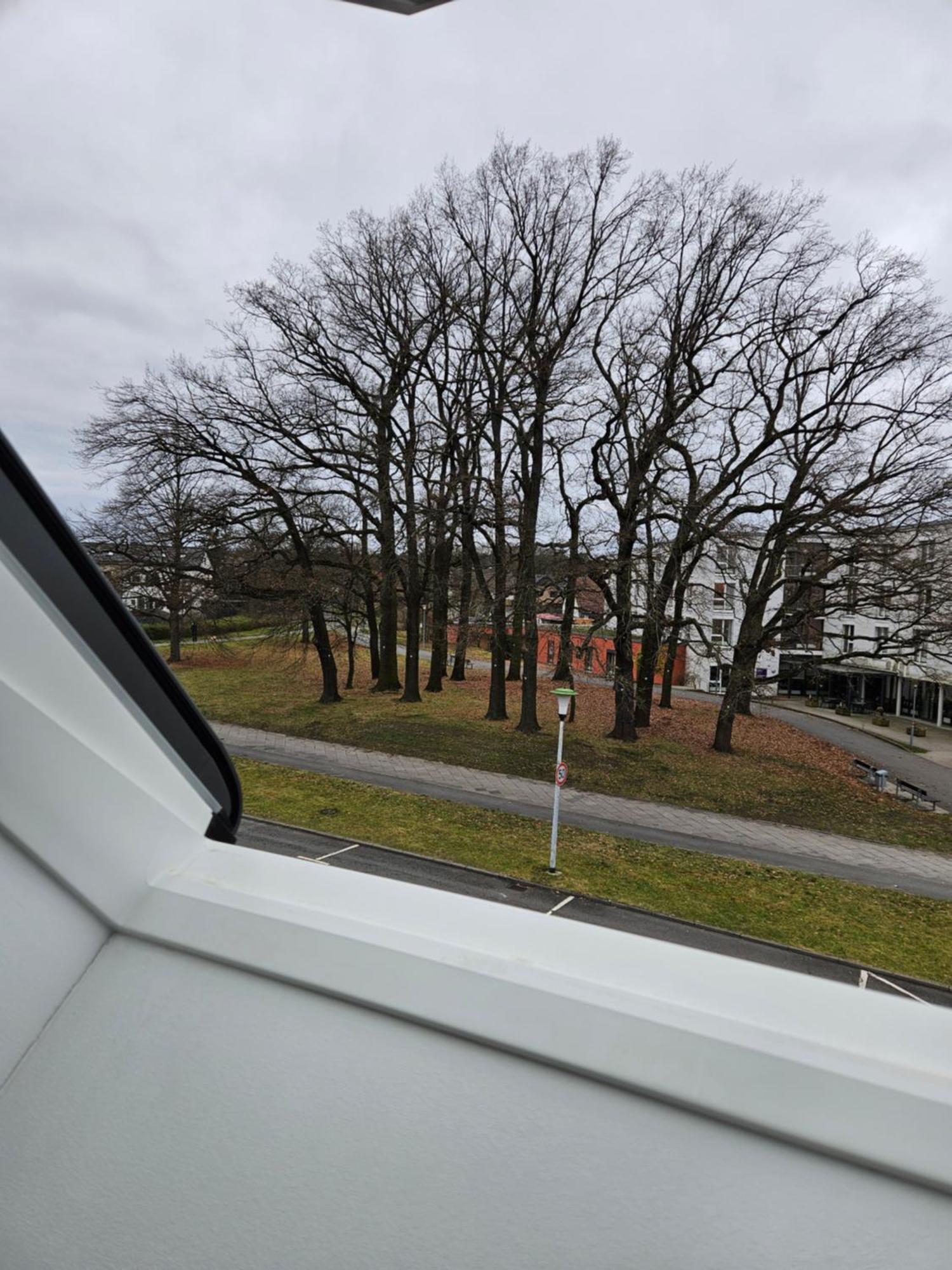 3 Zimmerwohnung Am Neuer Teich ウォルフスブルク エクステリア 写真